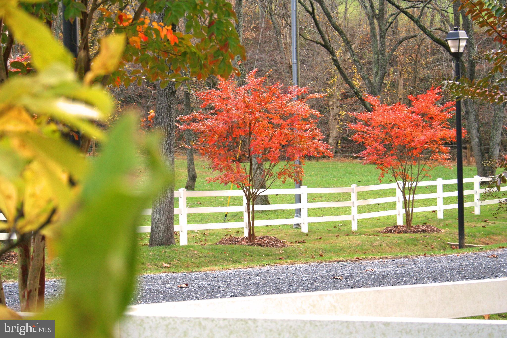 8179 Peters Road Dickerson, MD 20842 - Photo 16 of 17 View