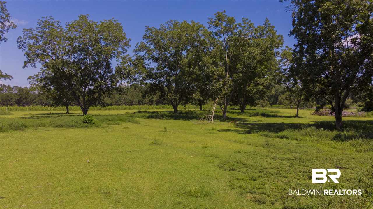 15308 County Road 83 Elberta, AL 36530 - Photo 17 of 45