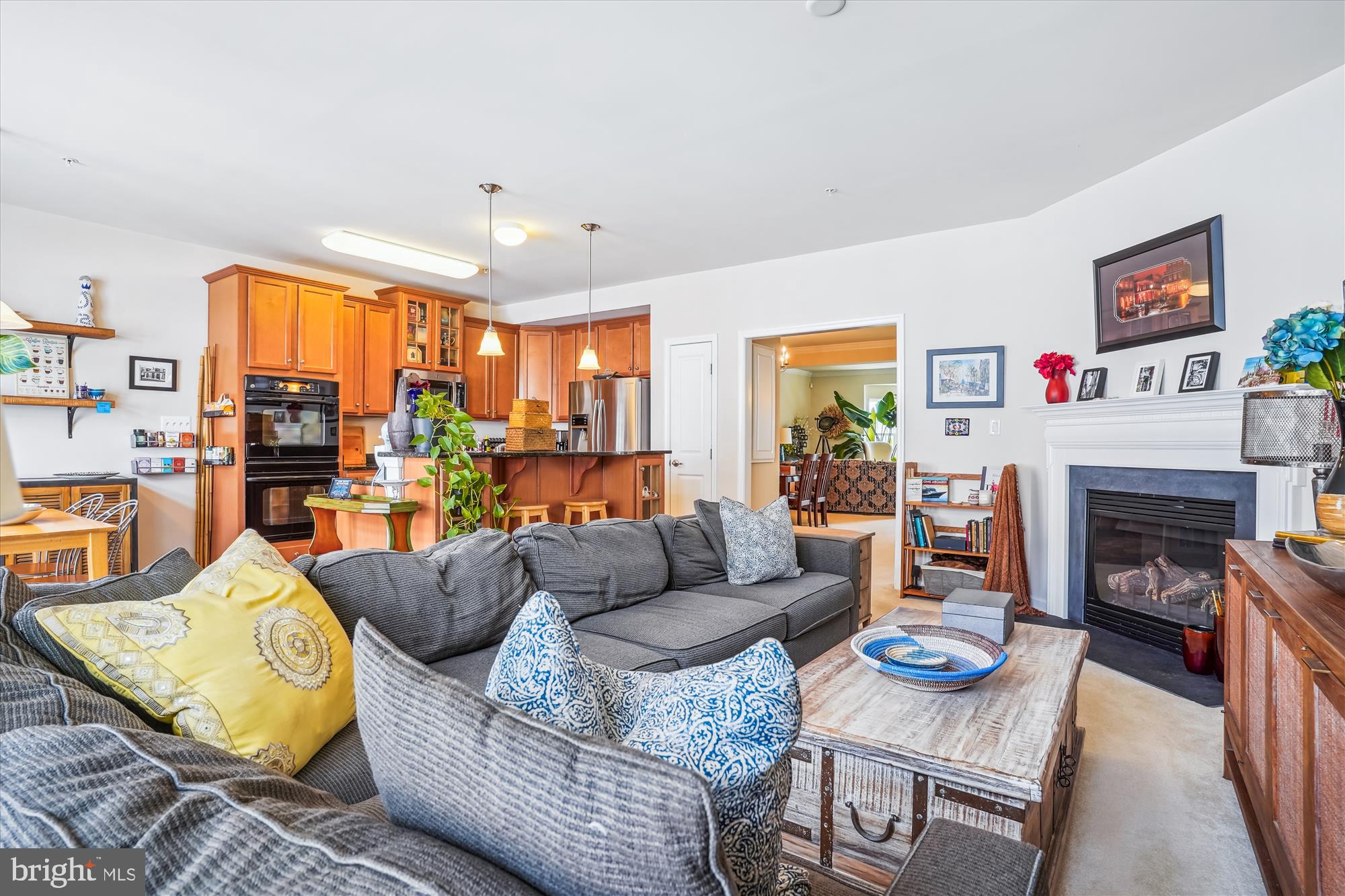 910 Hall Station Drive, Unit 202 Bowie, MD 20721 - Photo 17 of 44 a living room with furniture and a fireplace