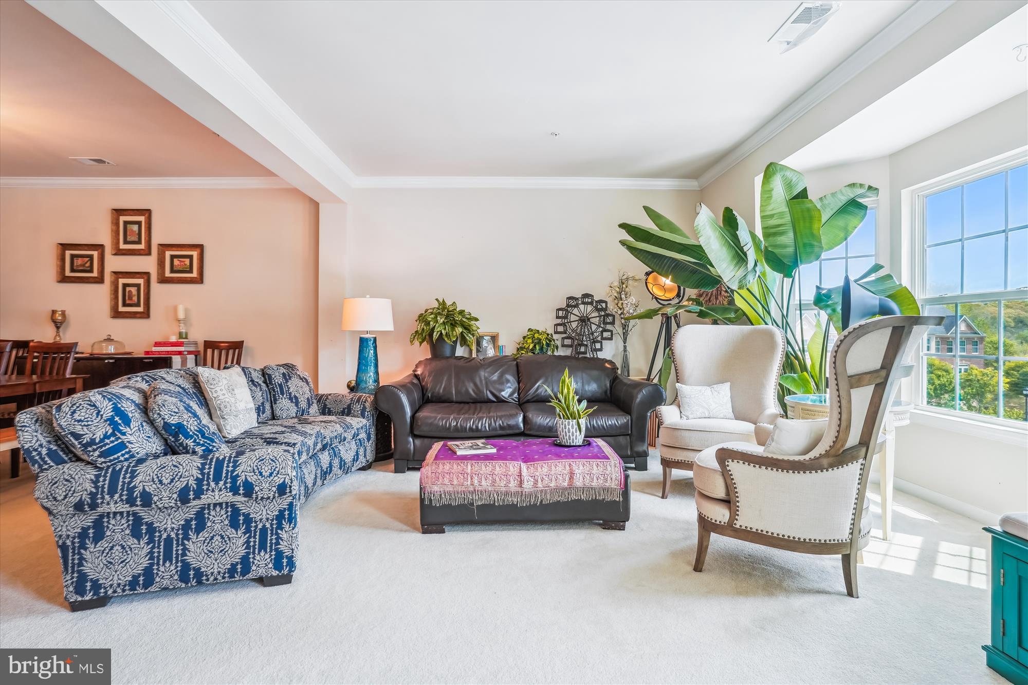 910 Hall Station Drive, Unit 202 Bowie, MD 20721 - Photo 5 of 44 a living room with furniture flowerpot and a potted plant