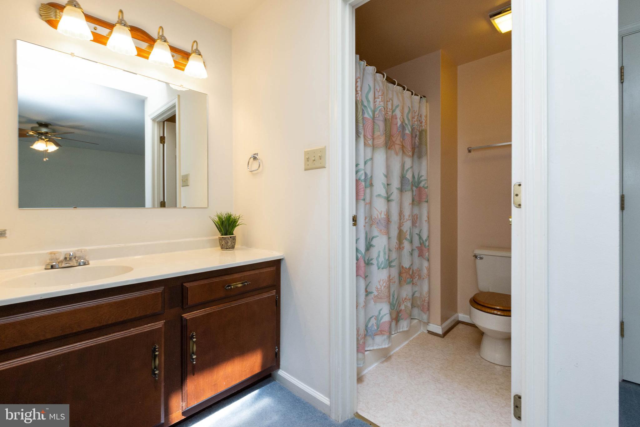 8013 Broken Reed Court Frederick, MD 21701 - Photo 23 of 37 Master bath with separate vanity