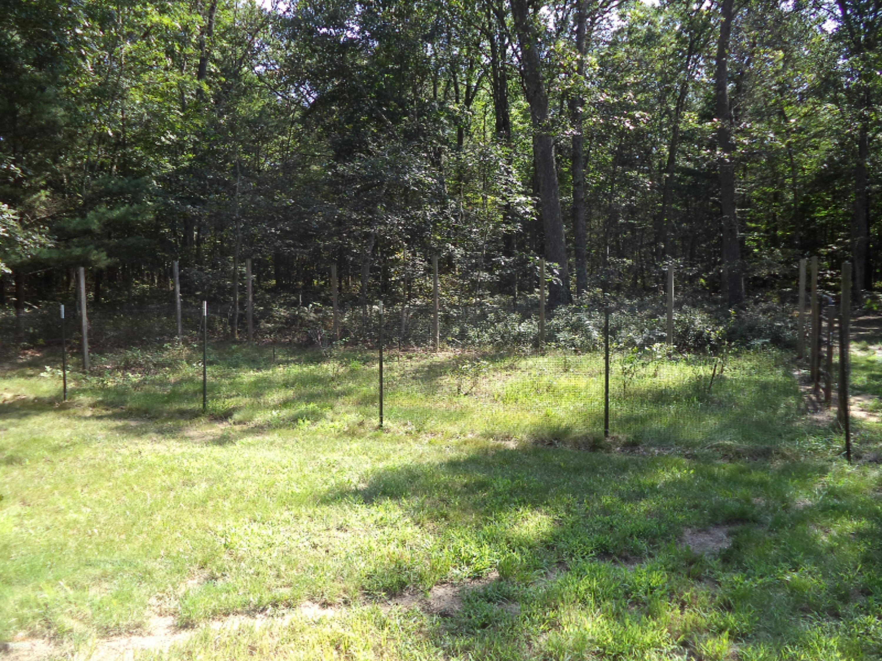 4105 West Giles Road Muskegon, MI 49445 - Photo 26 of 43 DSC04130