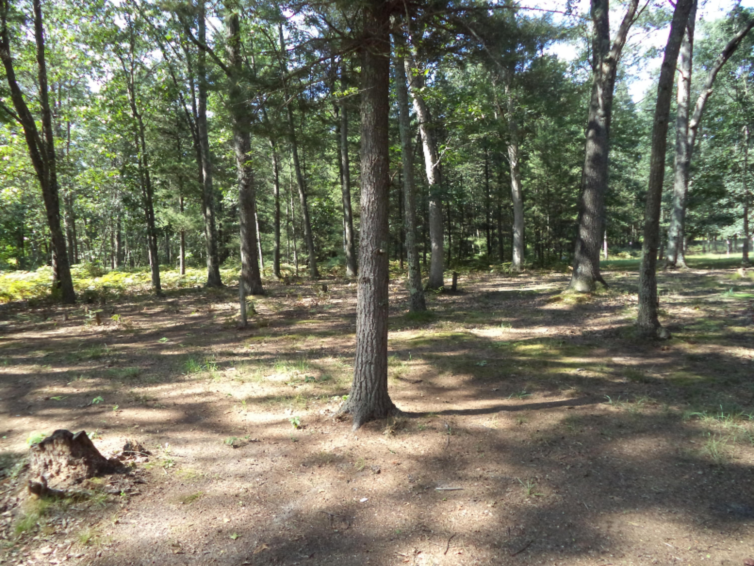 4105 West Giles Road Muskegon, MI 49445 - Photo 35 of 43 DSC04137
