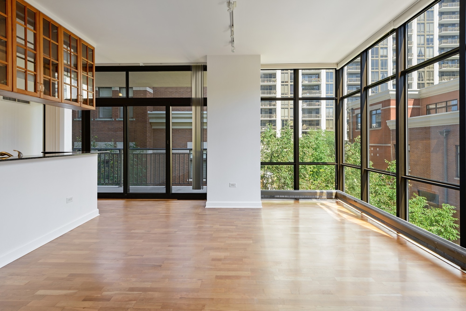 1322 South Prairie Avenue, Unit 302 Chicago, IL 60605 - Photo 4 of 13 a view of an entryway with wooden floor