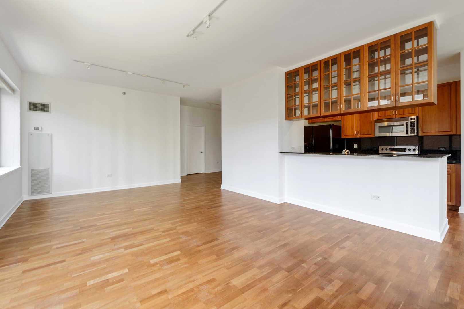 1322 South Prairie Avenue, Unit 302 Chicago, IL 60605 - Photo 6 of 13 a view of an empty room with window and wooden floor
