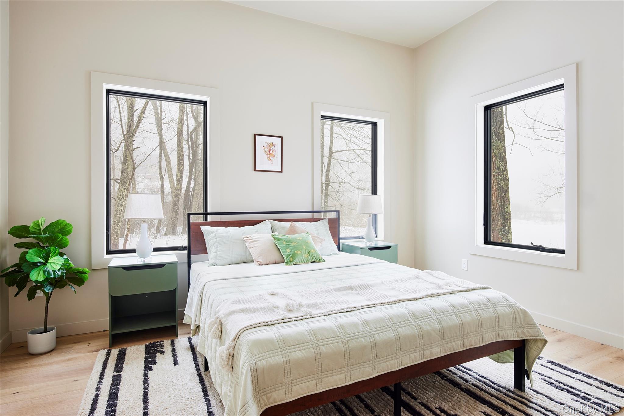 305 Old Danzer Road Livingston Manor, NY 12758 - Photo 16 of 30 a bedroom with a large bed and a potted plant