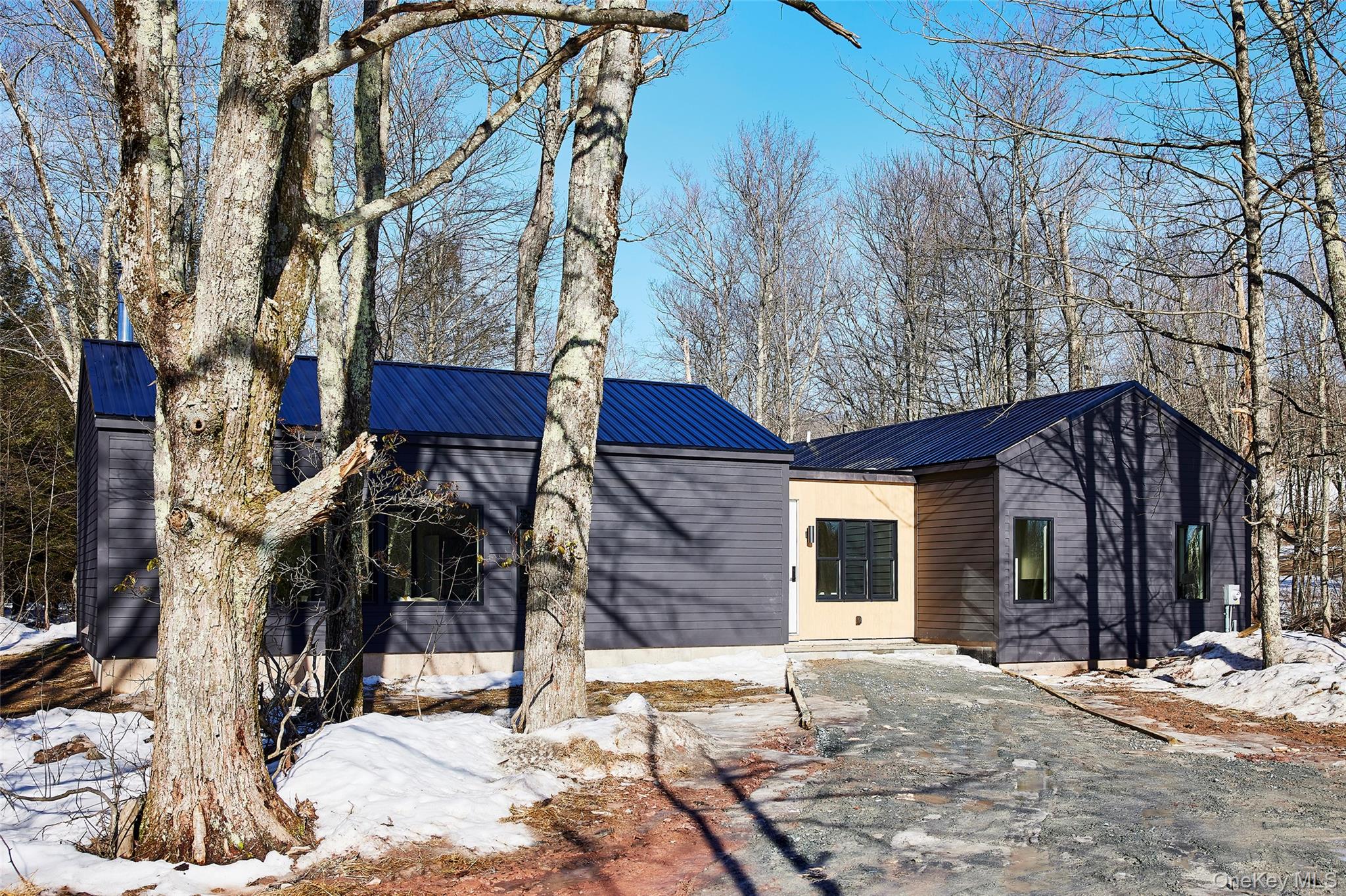 305 Old Danzer Road Livingston Manor, NY 12758 - Photo 25 of 30 a view of a house with a yard covered in snow