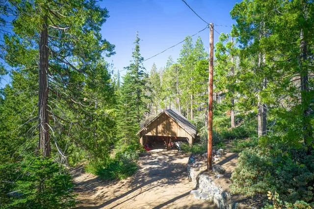 a view of a house with a yard and large trees