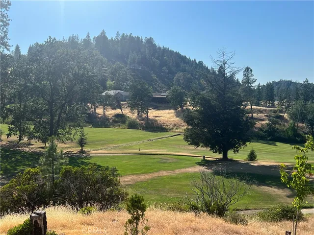 a view of a golf course with a park