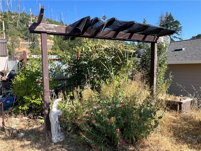 a view of a park with large trees