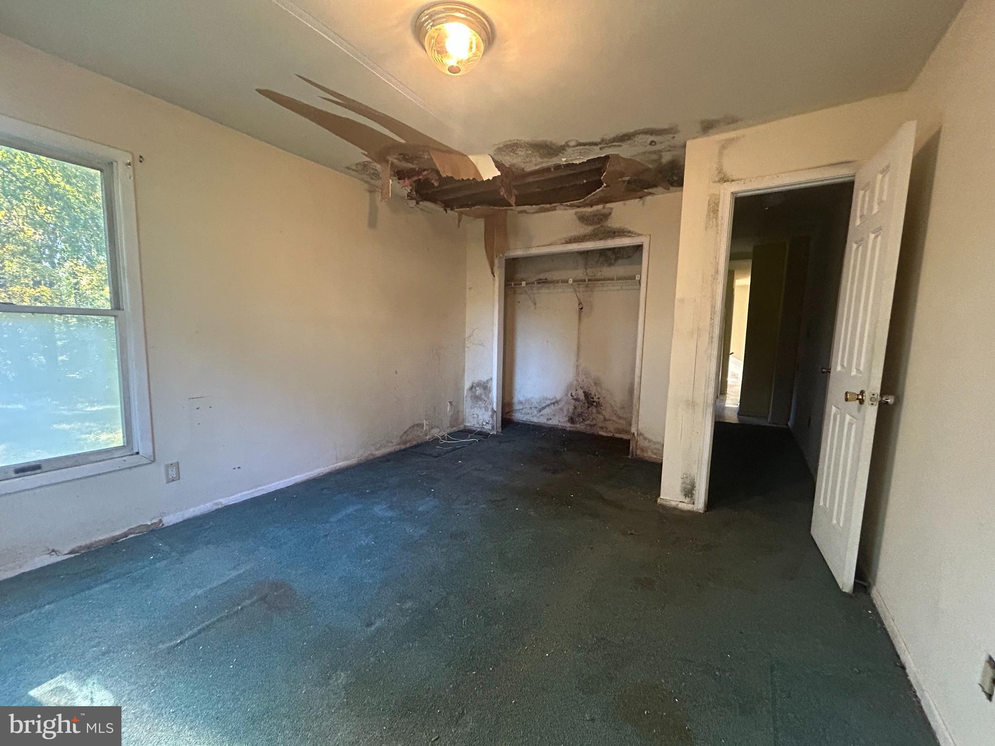 15325 Holly Grove Road Silver Spring, MD 20905 - Photo 12 of 27 an empty room with windows and closet
