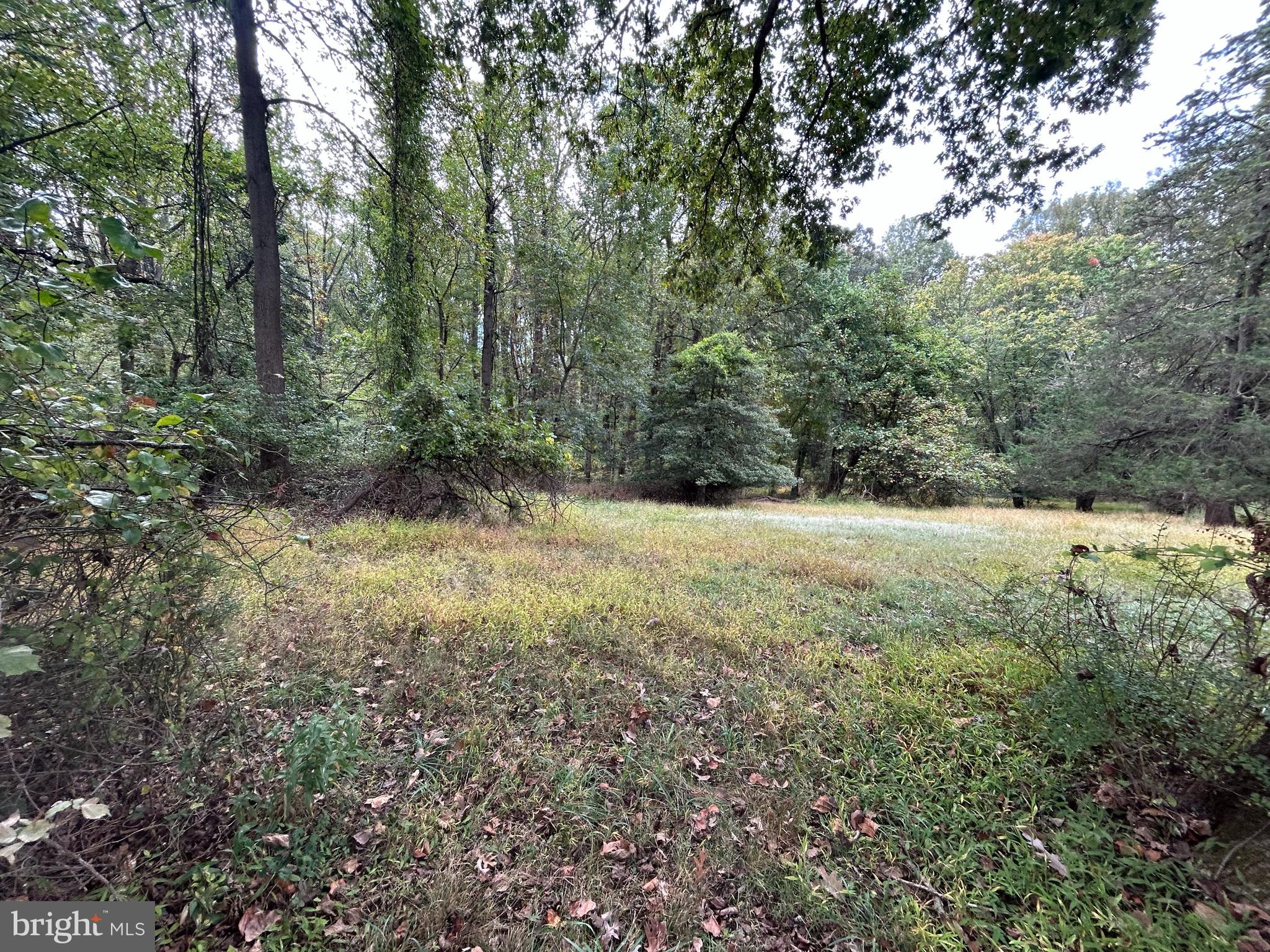15325 Holly Grove Road Silver Spring, MD 20905 - Photo 4 of 27 a view of outdoor space and yard