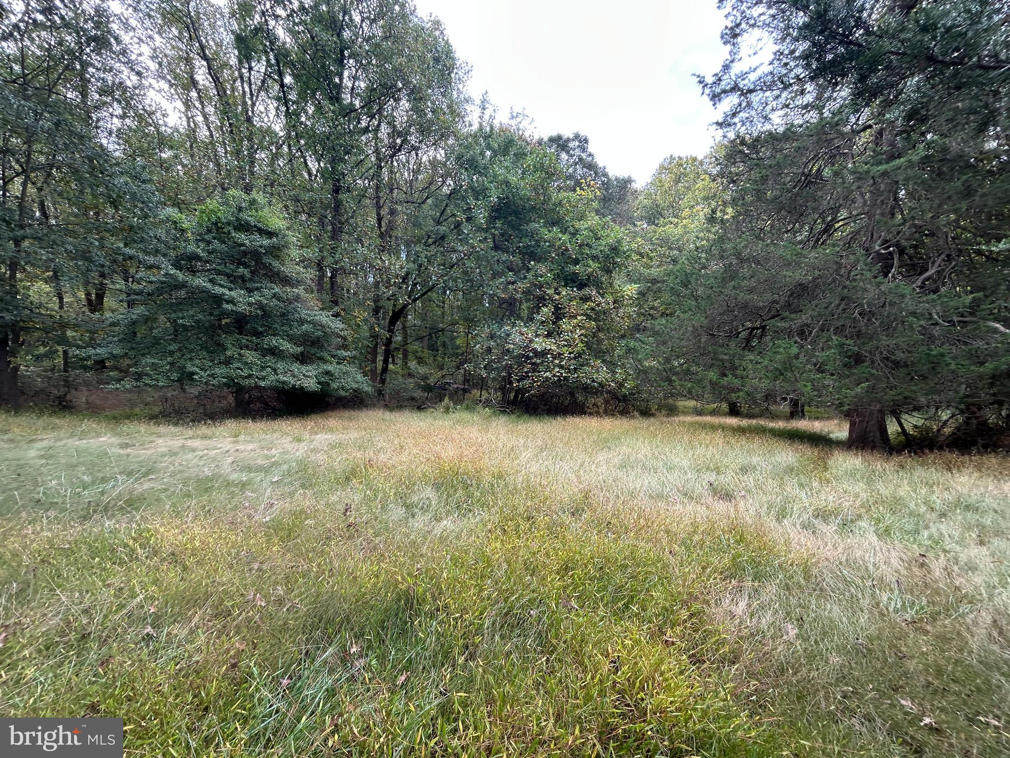15325 Holly Grove Road Silver Spring, MD 20905 - Photo 6 of 27 a view of outdoor space and yard