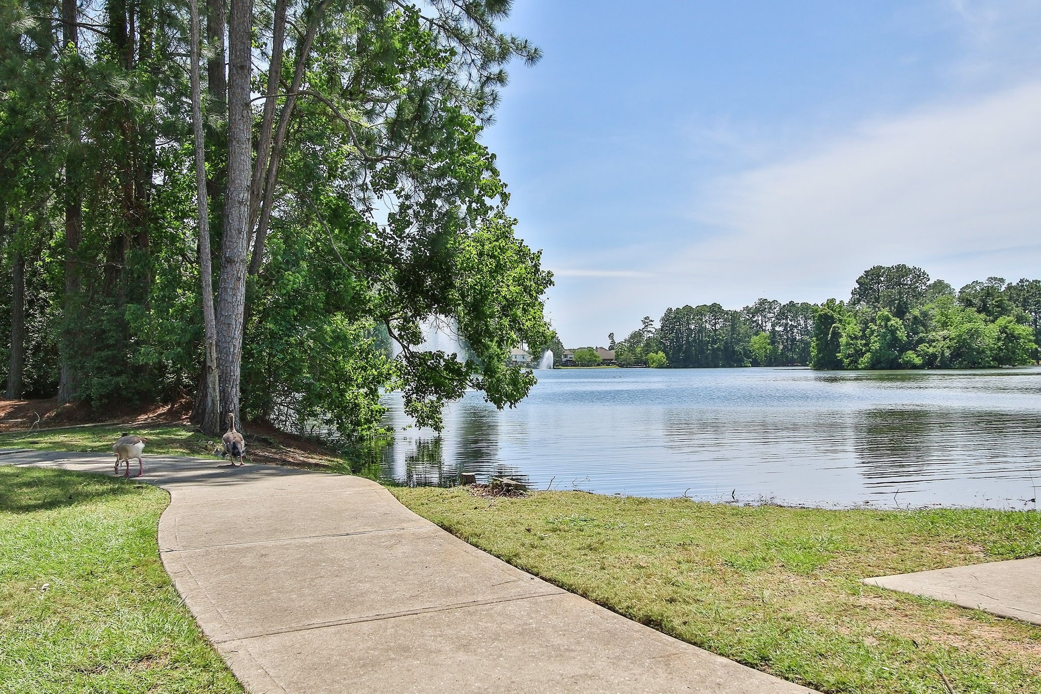 20102 Windbury Court Spring, TX 77379 - Photo 46 of 49 a view of a lake view