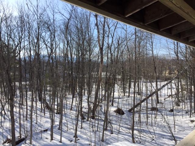 41 Lexington Road Kingfield, ME 04947 - Photo 15 of 16 view back