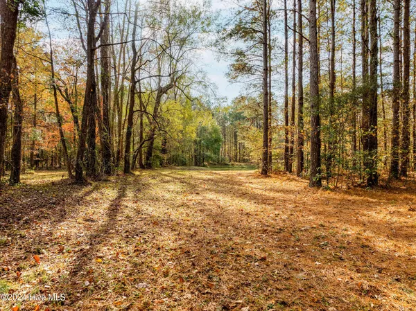 $25,000 | 111 Loblolly Court, Wallace, NC 28466