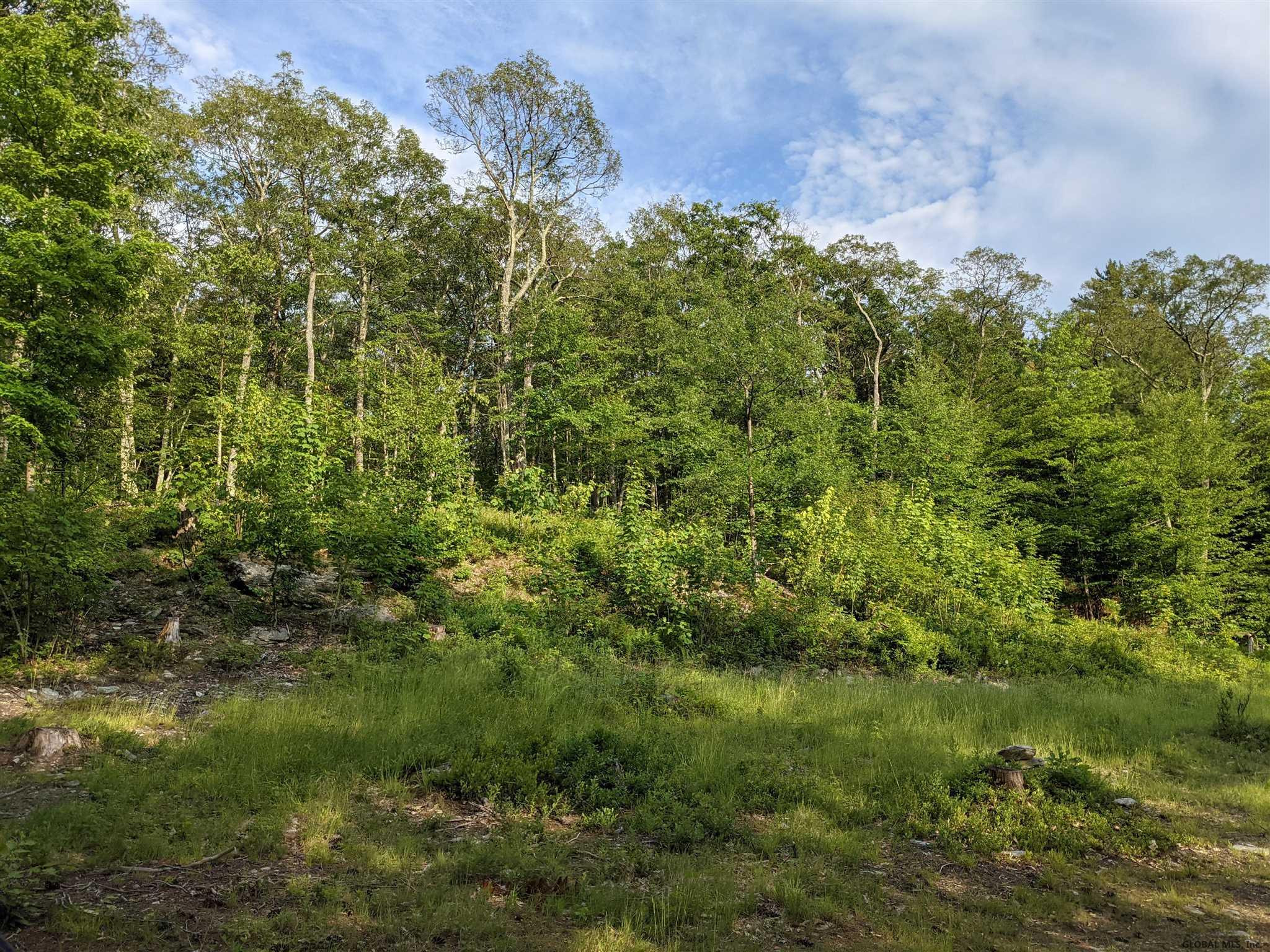 180 Rabbit College Road, Unit B Petersburgh, NY 12138 - Photo 3 of 9 Photo 3
