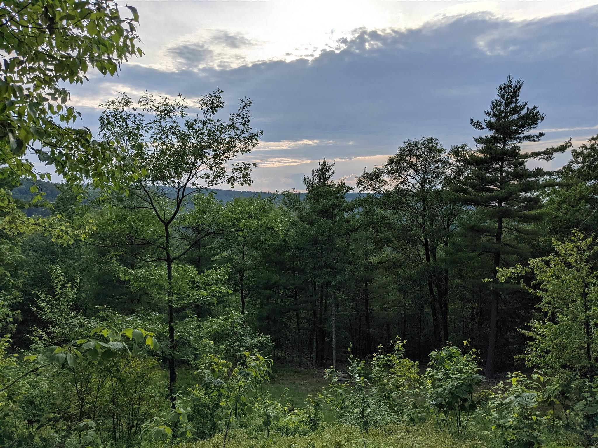 180 Rabbit College Road, Unit B Petersburgh, NY 12138 - Photo 8 of 9 Photo 8