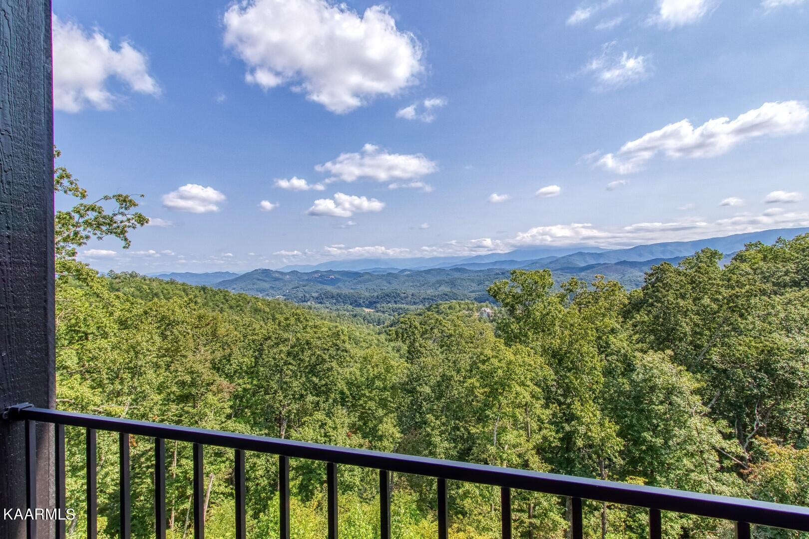 3093 Smoky Bluff Trail Sevierville, TN 37862 - Photo 31 of 60 1 (31)