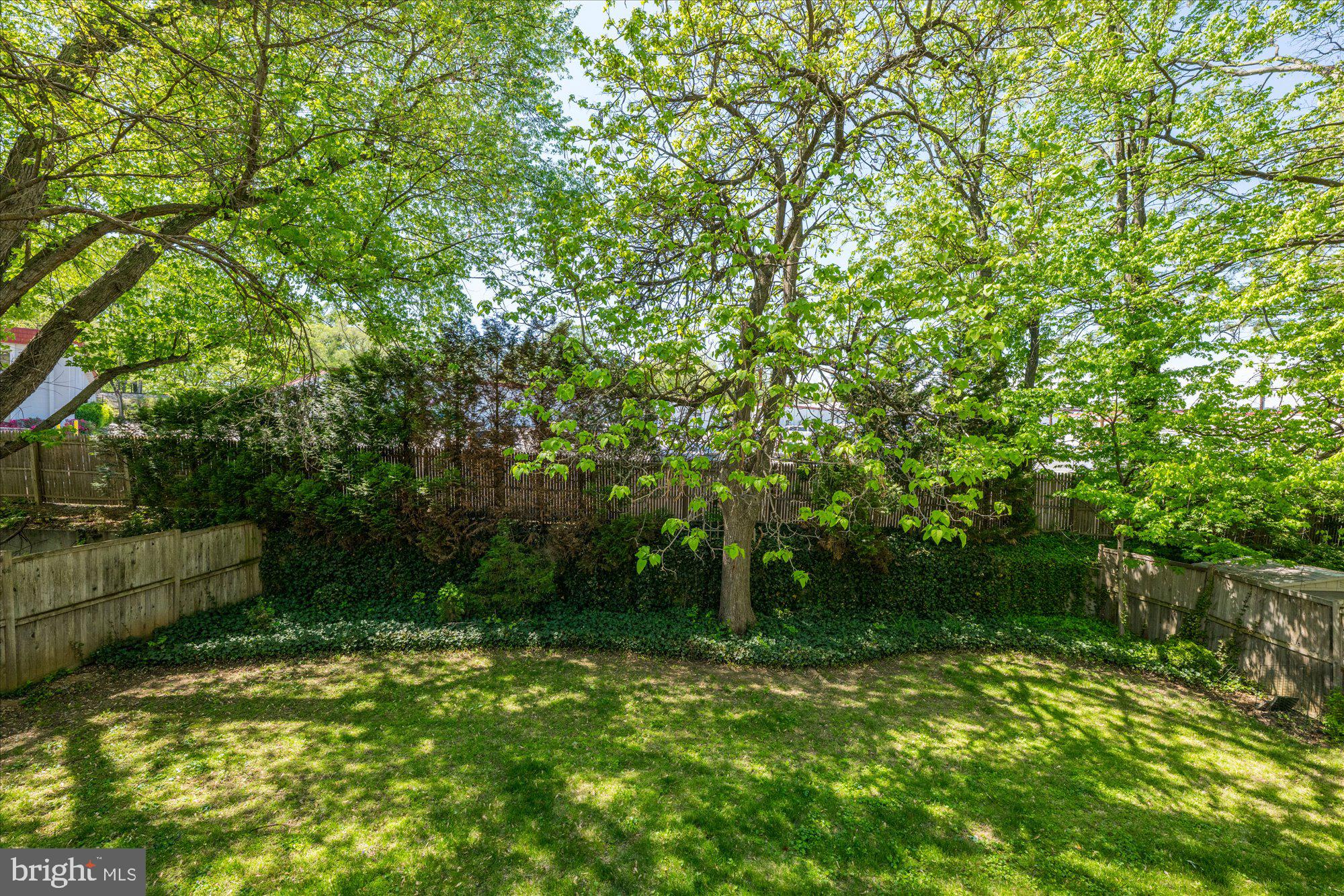 11448 Schuylkill Road Rockville, MD 20852 - Photo 47 of 49 Green and private