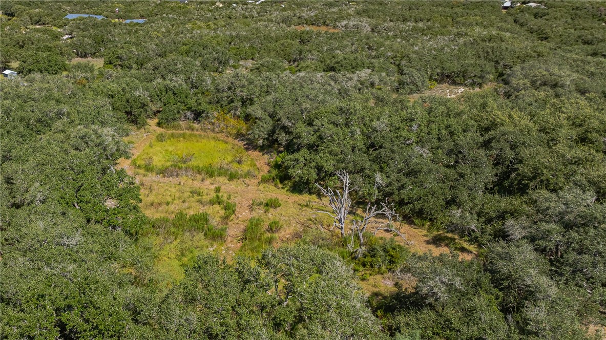 1501 Prairie Road Rockport, TX 78382 - Photo 7 of 17