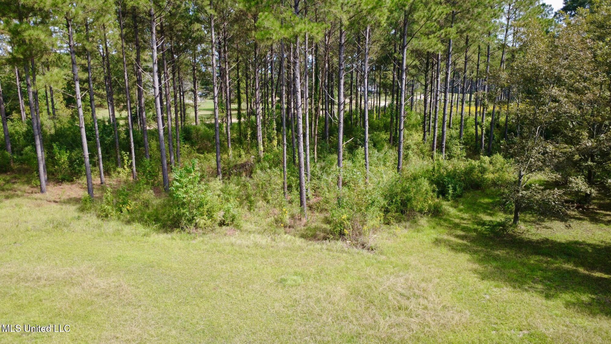 2423 A East Lincoln Road Southeast Brookhaven, MS 39601 - Photo 4 of 4 dji_fly_20251008_120010_45_1759942862164