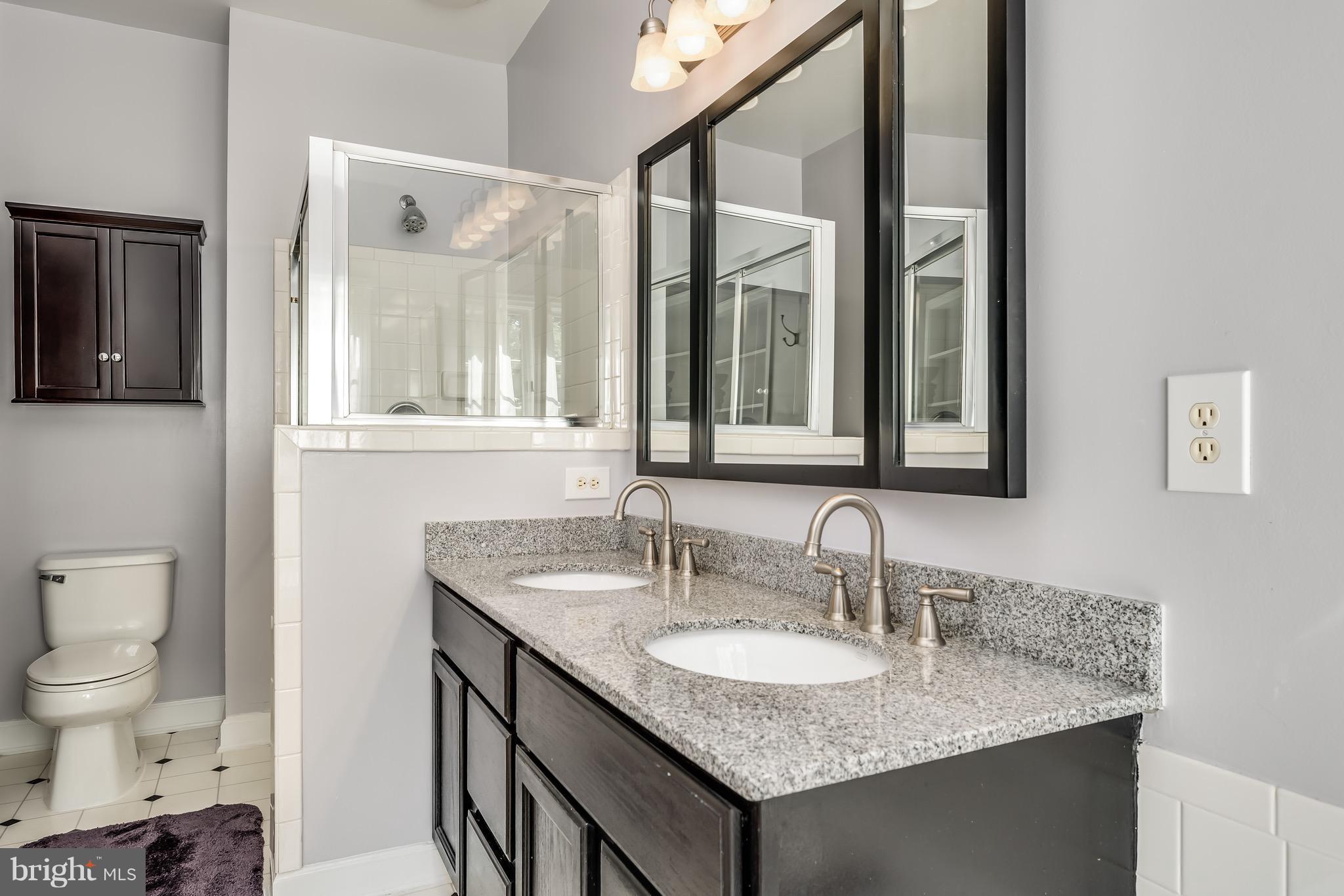 6298 Levi Court Springfield, VA 22150 - Photo 23 of 30 Bath (Master)