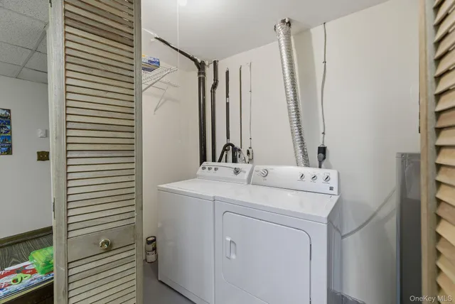 a view of a garden with a tree