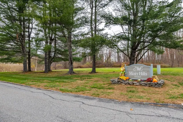 a view of a park with large trees