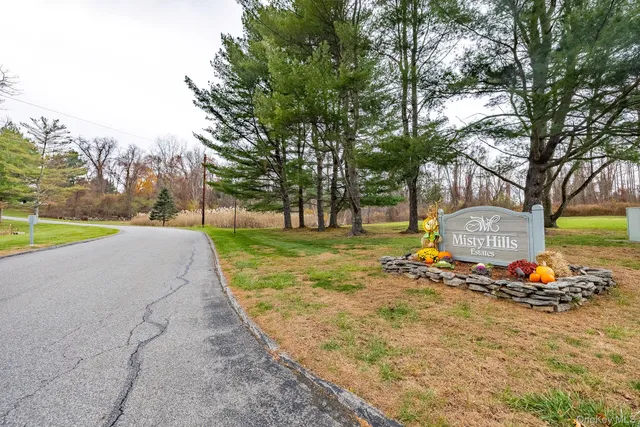 a view of a park with slide