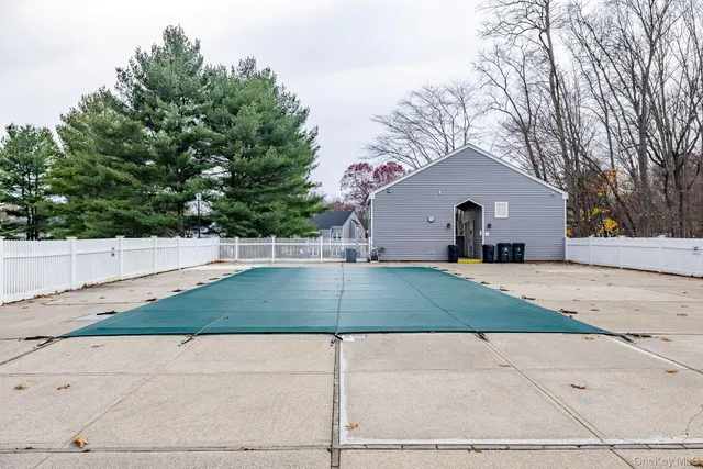 a view of a yard with plants and large trees