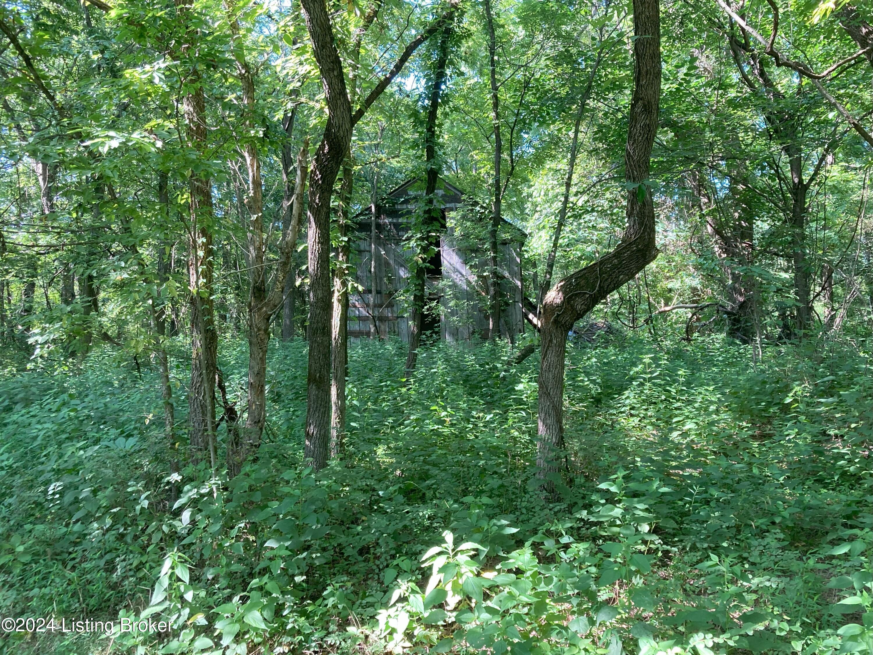 4372 Rube Smith Road Canmer, KY 42722 - Photo 70 of 82 Land 4