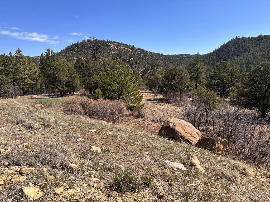 Tbd Big Pine Ridge Road Weston, CO 81091 - Photo 19 of 20 Gallery Image 19