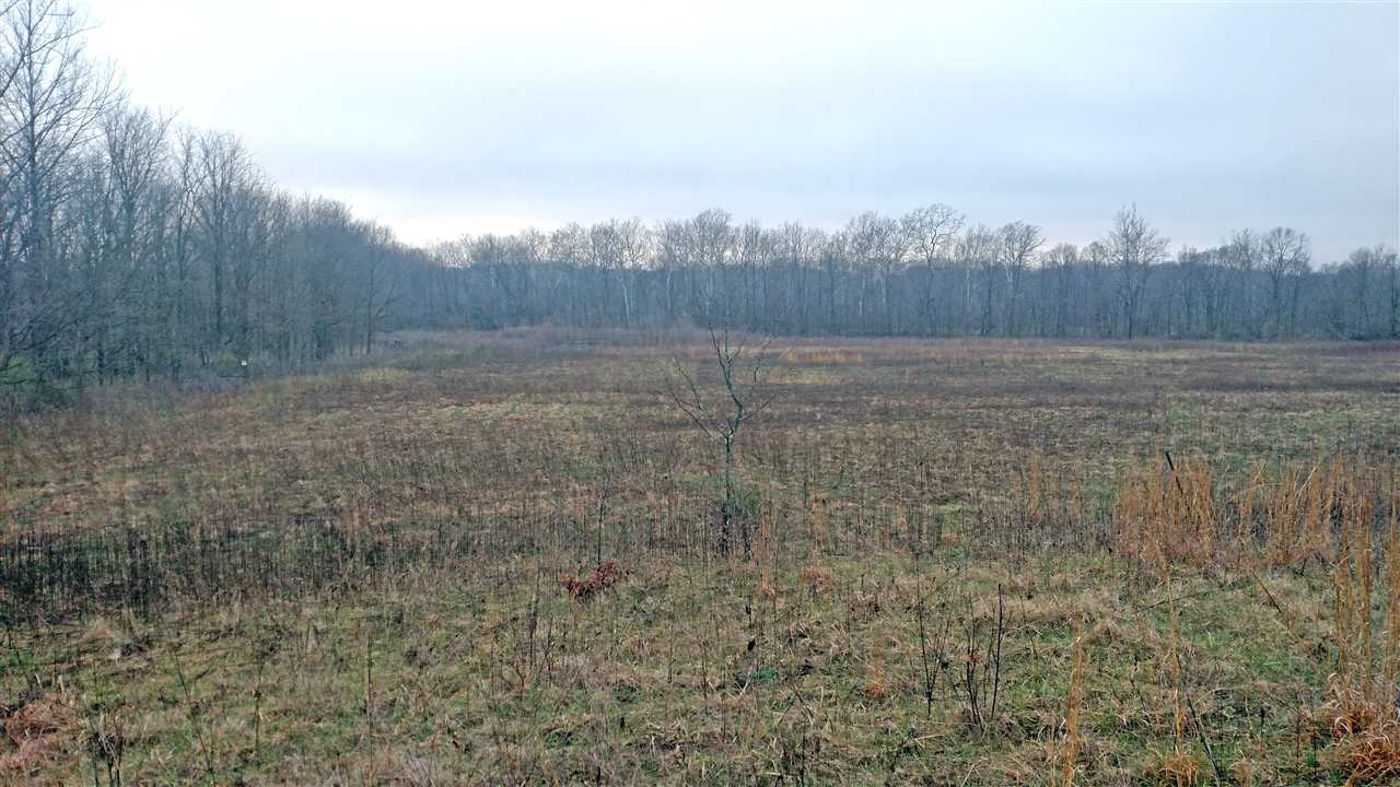 0 South Mill Road Spiceland, IN 47385 - Photo 1 of 3 Gallery Image 1