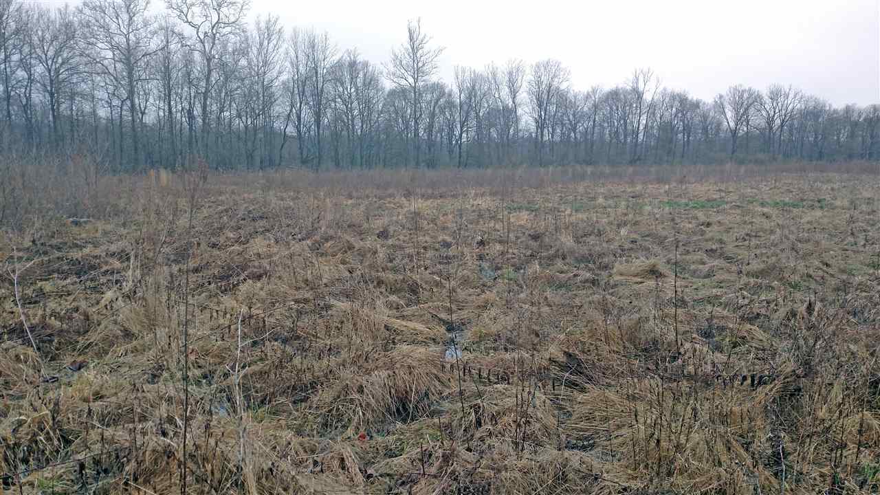 0 South Mill Road Spiceland, IN 47385 - Photo 3 of 3 Gallery Image 3