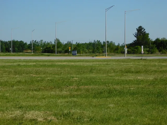 a view of a grassy field with trees in the background