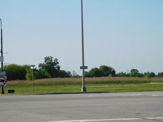 a view of a road with a big yard and palm trees