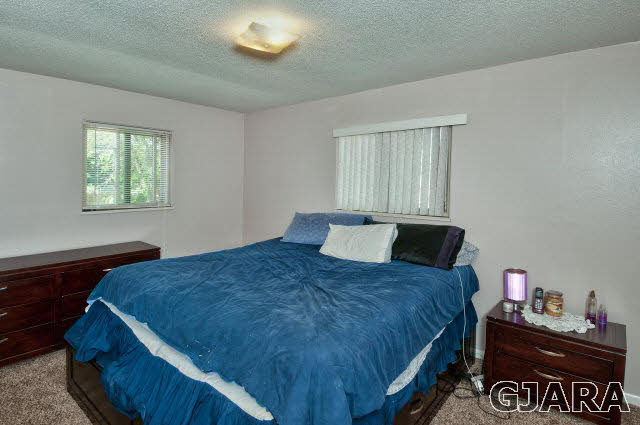 497 Sheldon Road Grand Junction, CO 81504 - Photo 16 of 27 Gallery Image 16