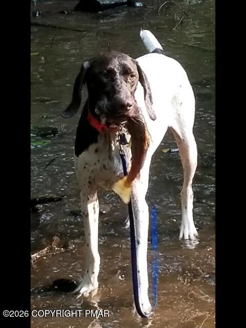 642 Tulip Tree Lane Cresco, PA 18326 - Photo 2 of 47 HE LOVES FISHING TOO!