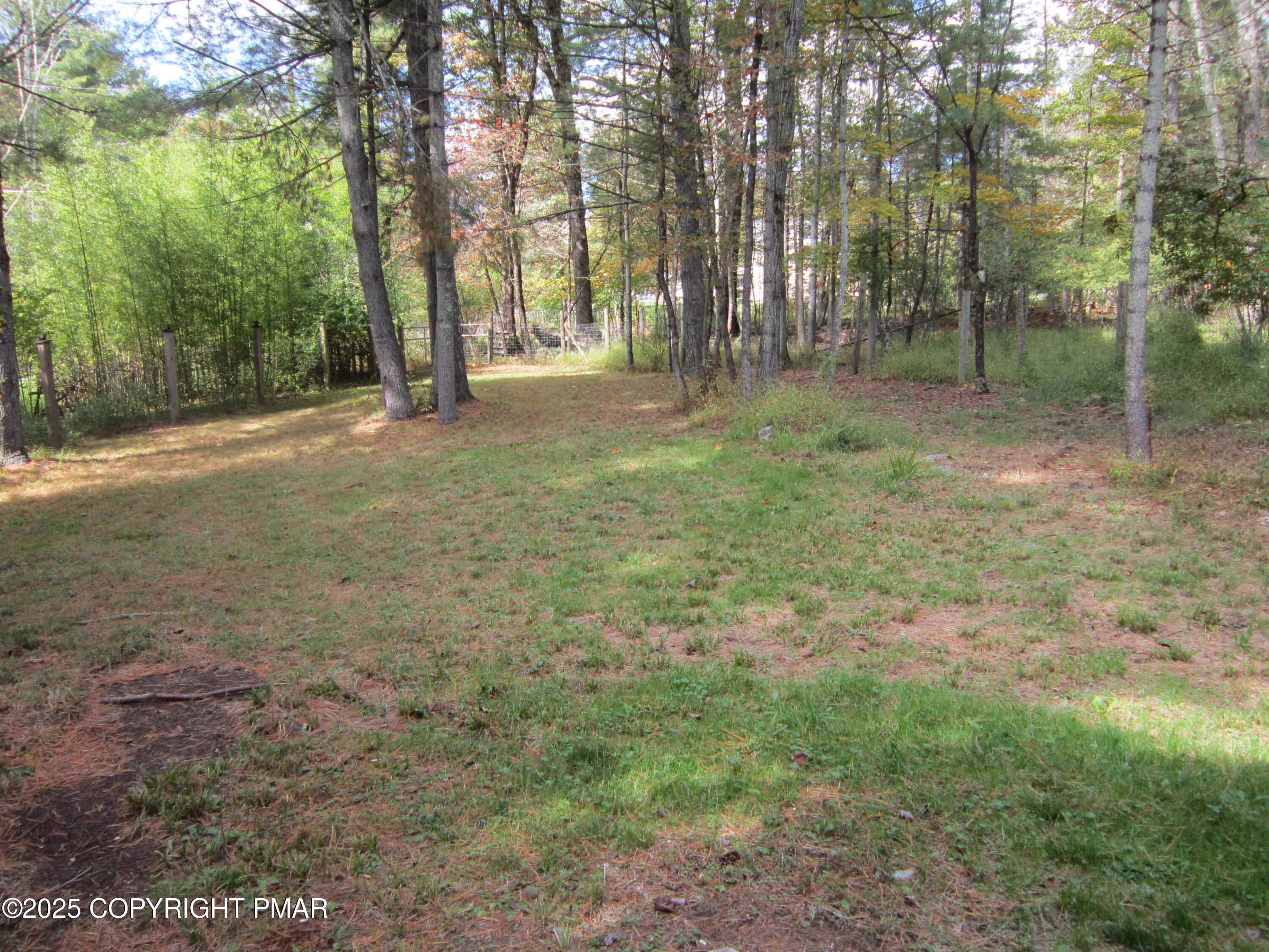 642 Tulip Tree Lane Cresco, PA 18326 - Photo 31 of 47 BACK YARD