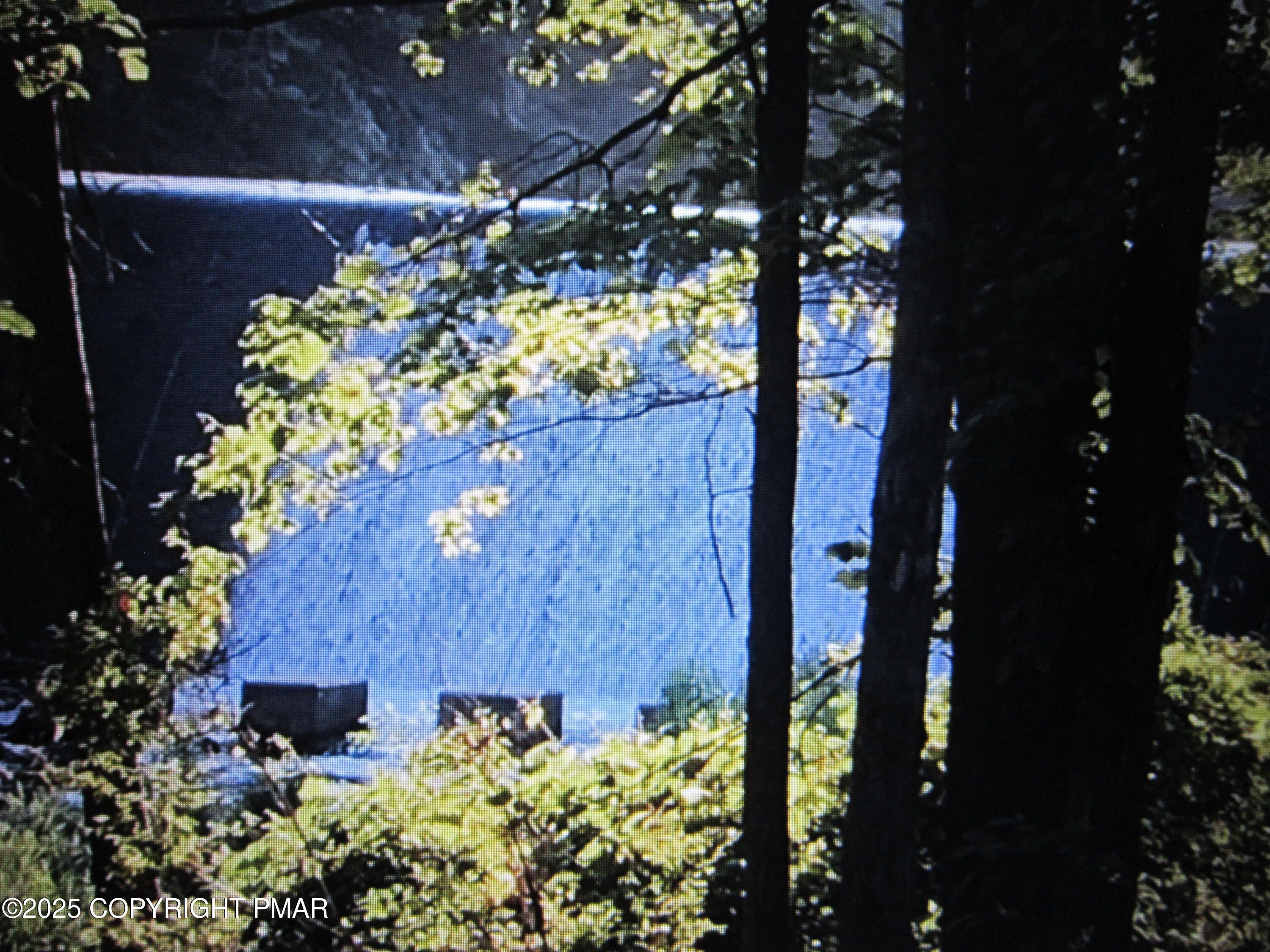 642 Tulip Tree Lane Cresco, PA 18326 - Photo 34 of 40 a view of a plants