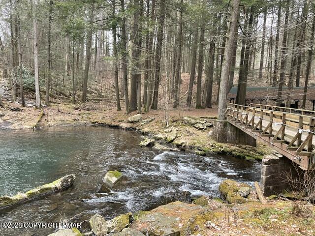 642 Tulip Tree Lane Cresco, PA 18326 - Photo 5 of 47 STREAM