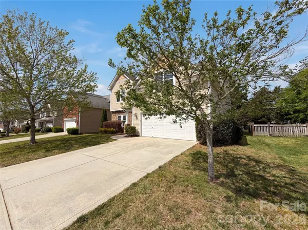 a tree in the middle of a yard