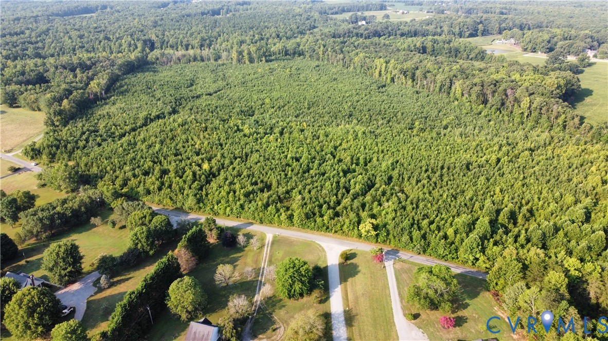 2 Rock Canyon Road Beaverdam, VA 23015 - Photo 2 of 31 a view of a yard with plants and wooden fence