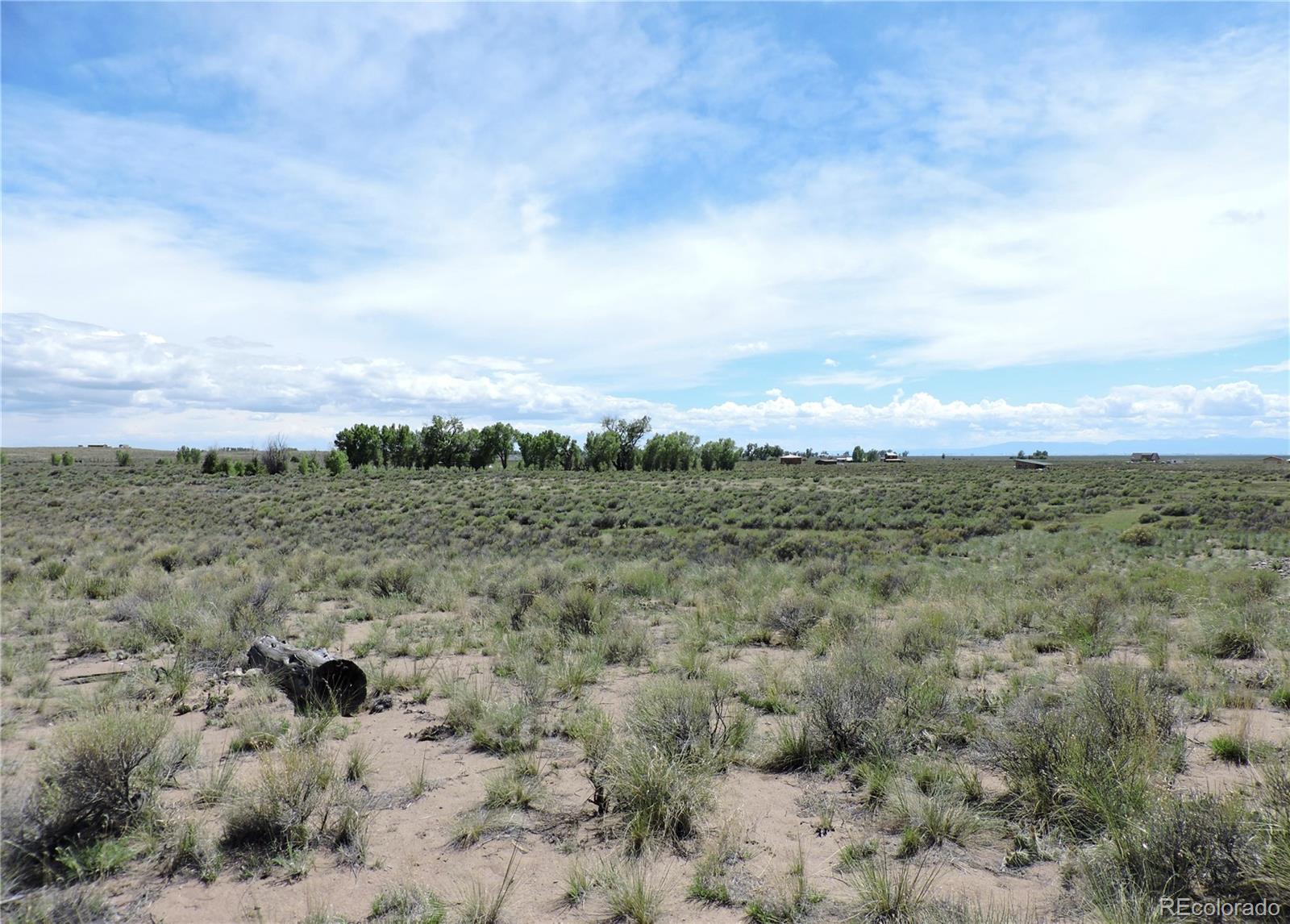 1189 Beaver Road Crestone, CO 81131 - Photo 6 of 6 a view of a field with trees in the background