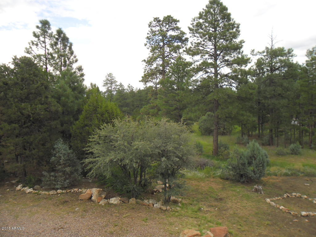 2861 Lodgepole Road Overgaard, AZ 85933 - Photo 23 of 32 SAM_1046