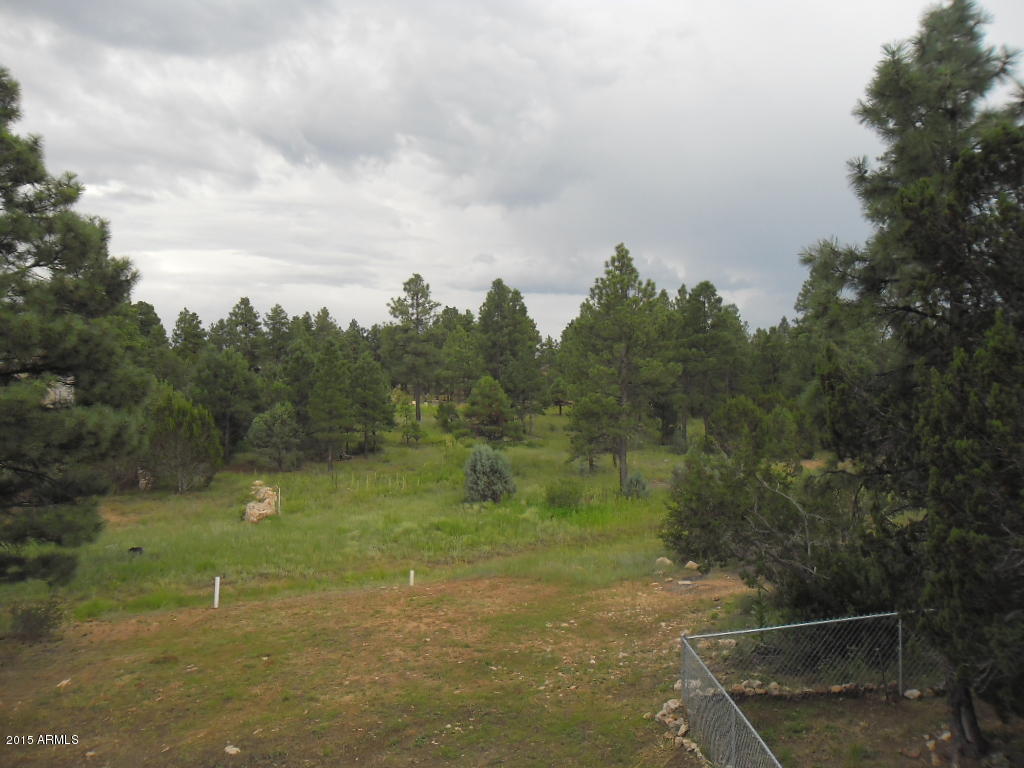 2861 Lodgepole Road Overgaard, AZ 85933 - Photo 3 of 32 SAM_1047
