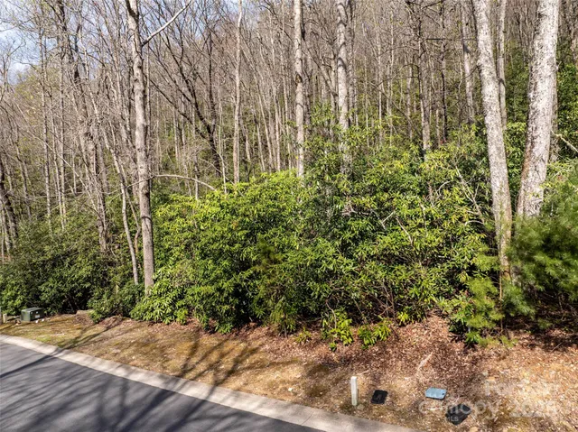 a view of bushes and pathway