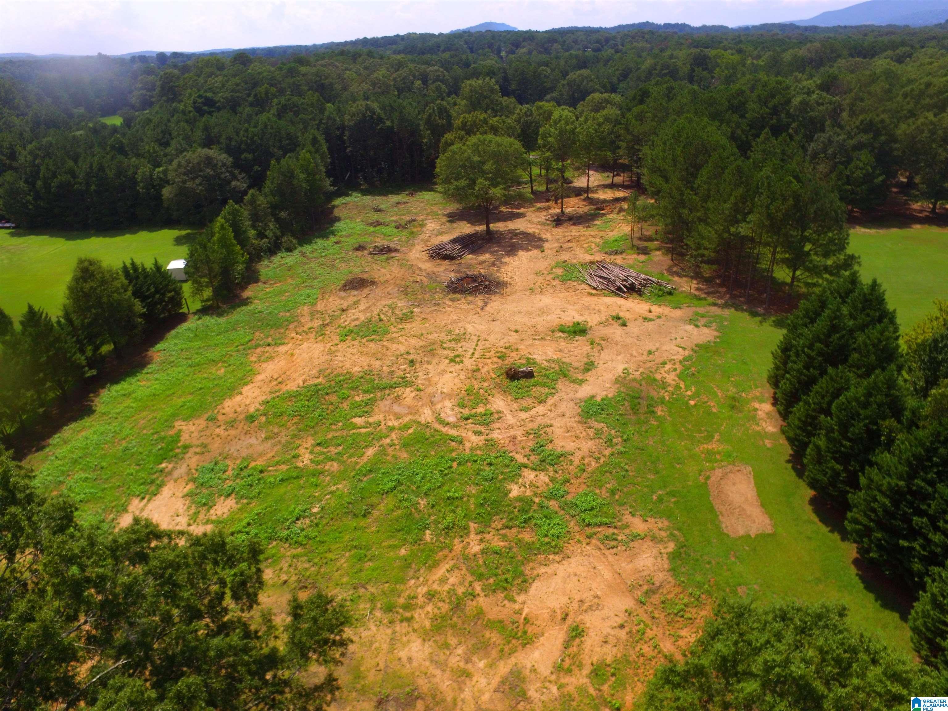0 Lane Road, Unit 1 Oxford, AL 36203 - Photo 5 of 11