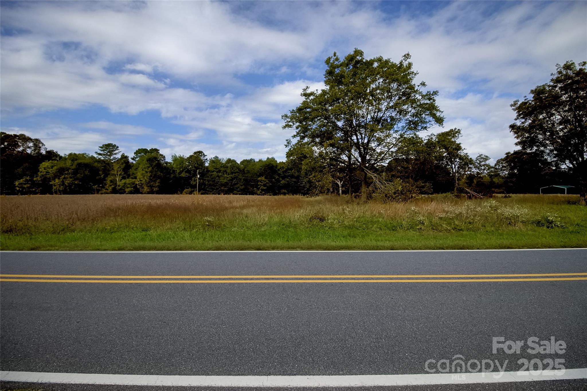 6 Rockdale Road Vale, NC 28168 - Photo 8 of 10 a view of a yard with a large tree